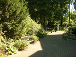 Dresden: Garten + Terrasse